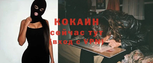 дживик Заводоуковск