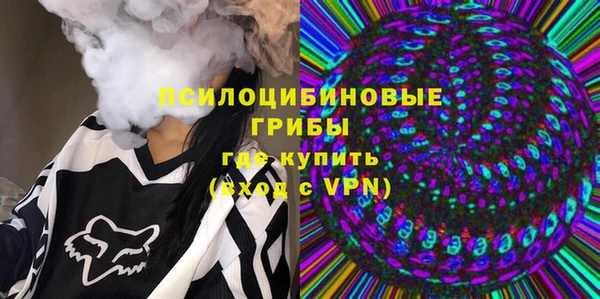 дживик Заводоуковск