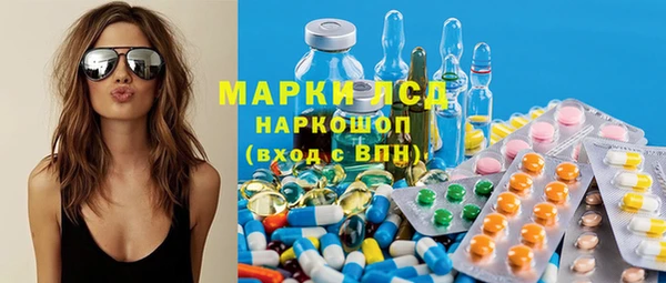 крисы Осинники