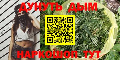 крисы Ливны