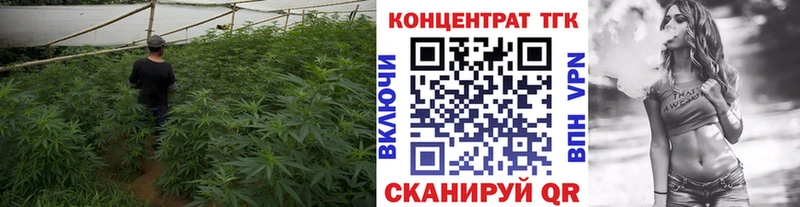 МЕГА зеркало  Сегежа  Дистиллят ТГК вейп  маркетплейс формула  закладки 